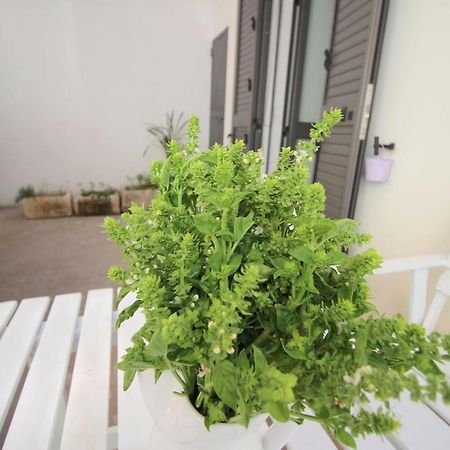 Home Holiday Salento Casa Agrosi Supersano Kültér fotó